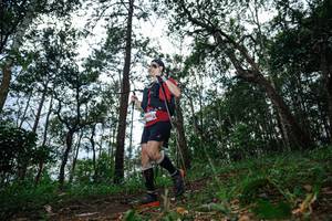 BIB: 
                            <button type="button" onclick="openModal(22569620)" class="btn btn-primary btn-sm float-right btn-popup" data-toggle="modal" data-target=".modal-high-quality">
                        <i class="fas fa-shopping-cart"></i> Add to Cart
                    </button>
                                            <button type="button" onclick="isThisMe(22569620, true)" class="btn btn-success btn-sm float-right btn-popup btn-isme hidden" data-toggle="tooltip" data-placement="bottom" title="นี่คือรูปของคุณใช่ไหม คลิกที่นี่เพื่อเอาเข้าอัลบั้ม">
                        <i class="fas fa-plus"></i> Add to album
                    </button>
                    <button type="button" onclick="isThisMe(22569620, false)" class="btn btn-warning btn-sm float-right btn-popup btn-isnotme hidden">
                        <i class="fas fa-ban"></i> Remove from album
                    </button>